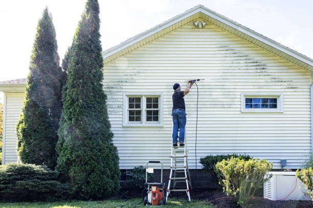 Deck Cleaning Services in Burgin, KY